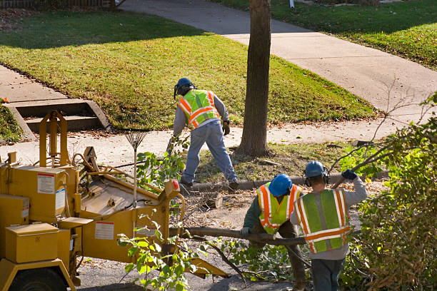 Best Commercial Tree Services  in Trinity, TX